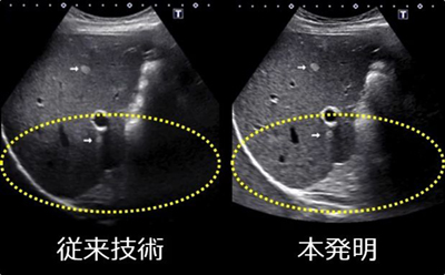 比較画像 比較画像
